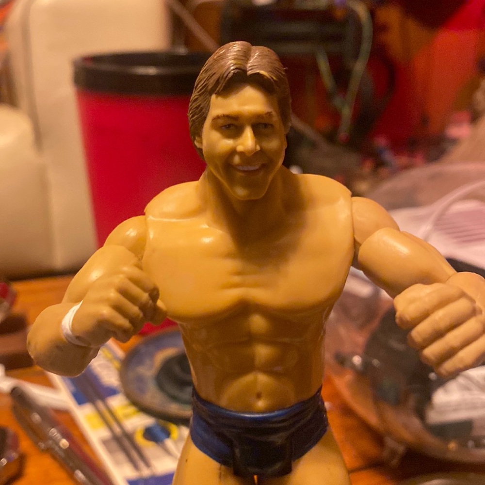 Rowdy Roddy Piper .... Hot Rod 2003 Jakks / WWE